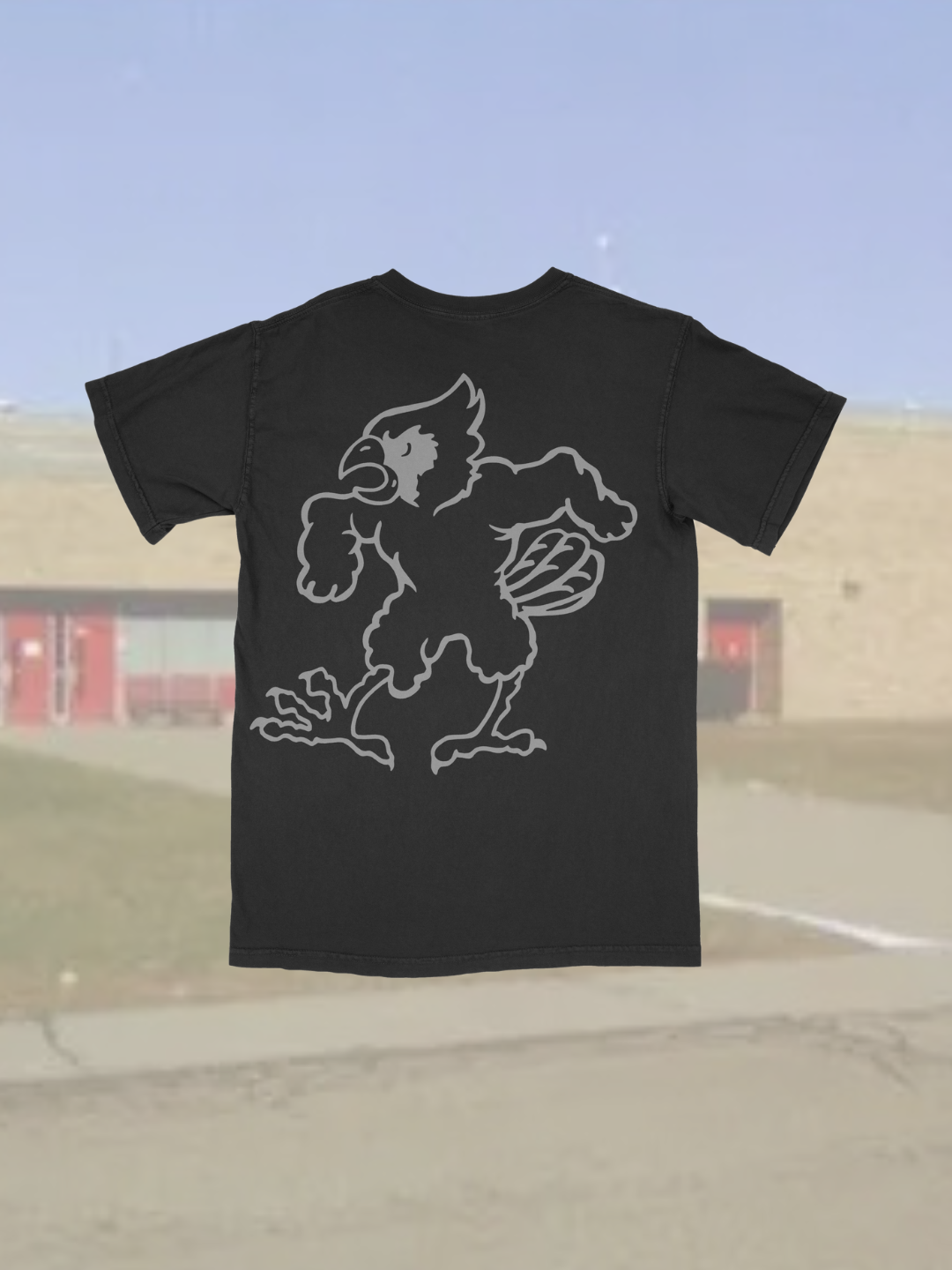 Cardinal Crazies.. Retro Cardinal