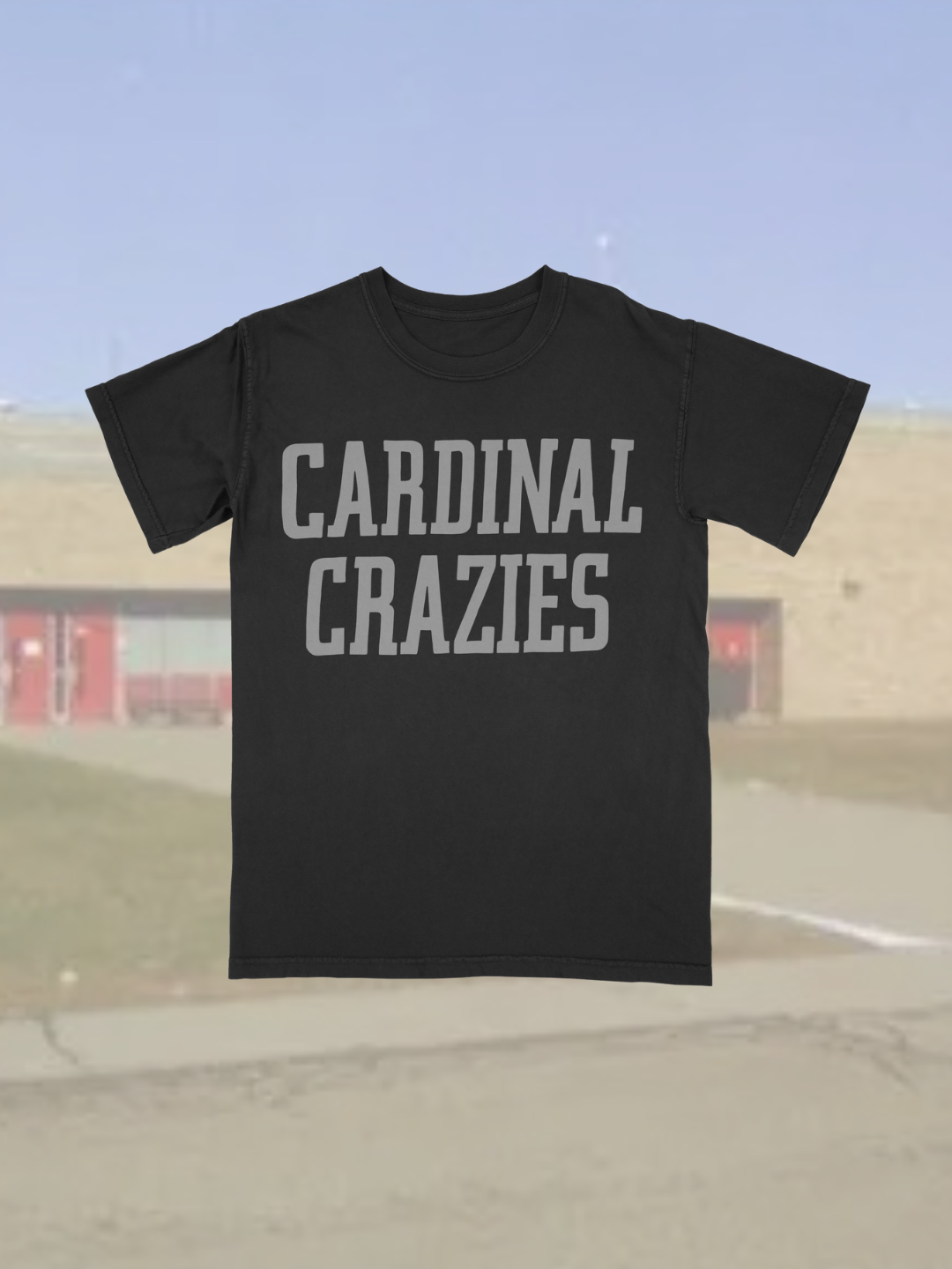 Cardinal Crazies.. Retro Cardinal